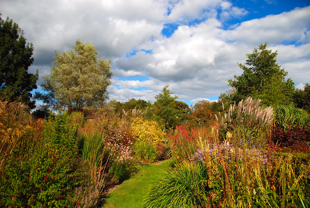 Angelegter Garten mit Natursteinterrasse und Staudenbeeten in Freiburg
